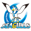 Okayama Seagulls Nữ
