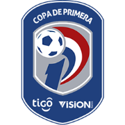 Paraguayan Primera Division